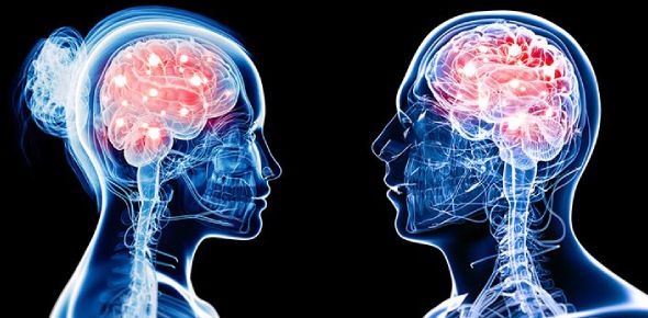 The Basic Neuroscience Trivia Quiz ProProfs Quiz